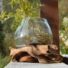 Laden Sie das Bild in den Galerie-Viewer, Dekoschale Glas Teakholzwurzel &gt;Waterdrop&lt; Dekoglas - 7 Größen
