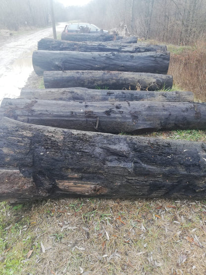 Bretter , Bohlen Baumscheiben aus schöner Mooreiche