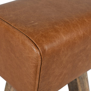 Hocker >Patna< Premium Büffelleder mit Mangoholz - Farbe braun glänzend